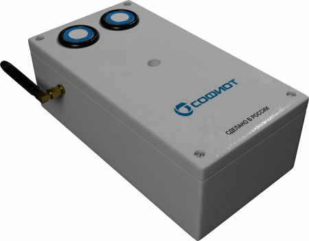 Газоанализатор на 2 датчика Аммиак + Сероводород